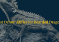 Best Dehumidifier for Bearded Dragons