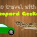How to Travel with your leopard gecko
