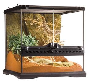 Leopard Gecko Tank