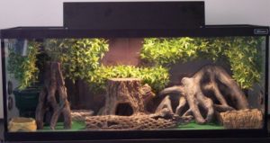 Leopard Gecko Terrarium Needed