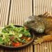 iguana-food-dish