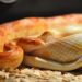 Best Heat Mat For Corn Snake