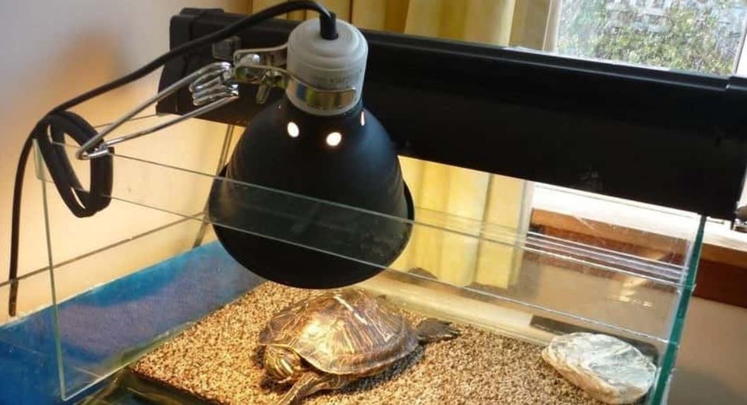 Ультрафиолетовые лампы для красноухих черепах. УФ лампа для черепах. Ультрафиолетовая лампа для черепах красноухих. УФ лампа для сухопутной черепахи. Светильник для УФ лампы в террариум.
