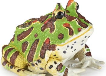 frog-pacman