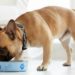 Best Dog Foods For French Bulldog
