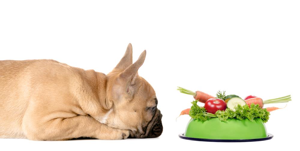 What Vegetables Can French Bulldogs Eat