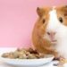 9 Best Guinea Pig Foods