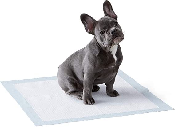 Pad For French Bulldog