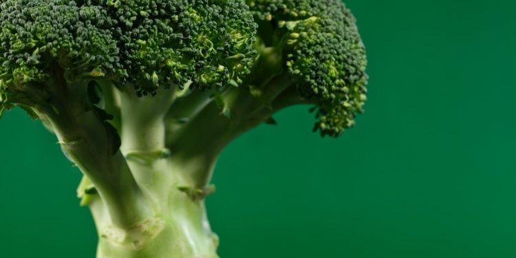 Can Rabbits Eat Broccoli
