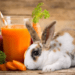 Can Rabbits Have Fruit Juice