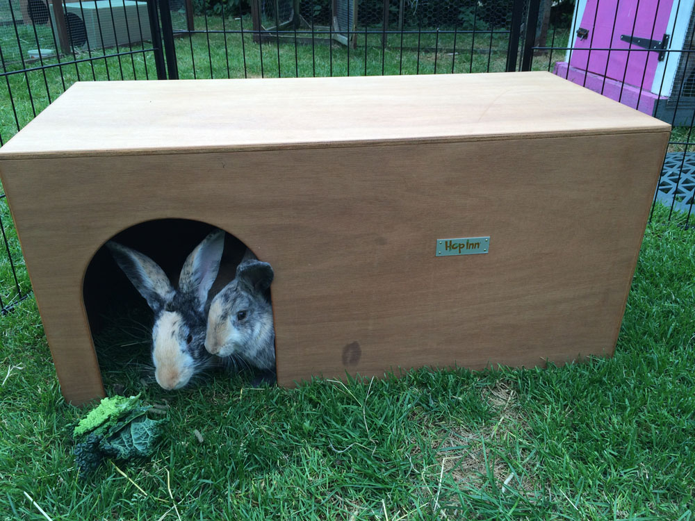 Best Rabbit Tents And-Hideaway