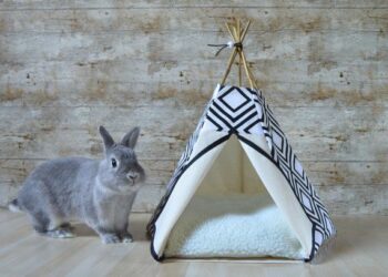 Best Rabbit Tents And Hideaway
