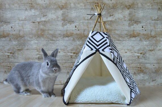 Best Rabbit Tents And Hideaway