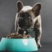 Best Foods For French Bulldog With Itchy Skin